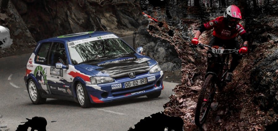 LobaRace - Rally Action 1